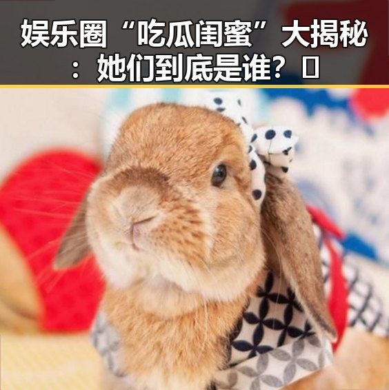 娱乐圈“吃瓜闺蜜”大揭秘：她们到底是谁？🌟