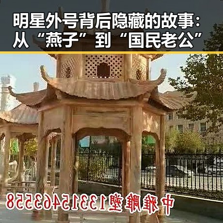 明星外号背后隐藏的故事：从“燕子”到“国民老公”
