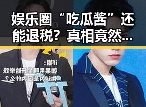 娱乐圈“吃瓜酱”还能退税？真相竟然这么看！